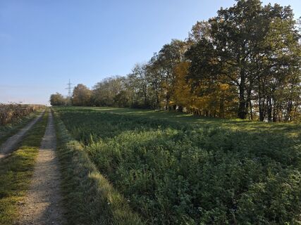 Photo de DieTutnixe le long du parcours