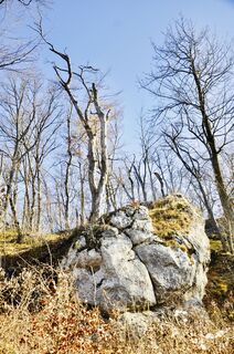 Photo de Kellner Heidi le long du parcours