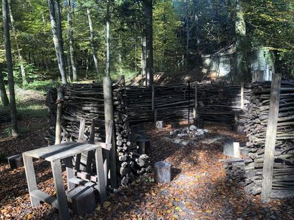 Fotografija s spletne strani Martin Würsch na poti