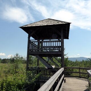 Mit etwas Glück und Ruhe lassen sich vom Aussichtsturm im Wenger Moor seltene Vogelarten beobachten.