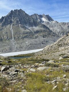 Fotografija s spletne strani ceiby na poti