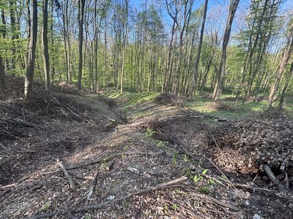 Foto de Reti Alicia a lo largo del recorrido