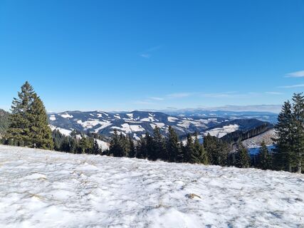 Foto von Tamara Schwarz 2 entlang der Tour