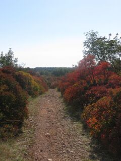 Photo de Gianberto Zilli le long du parcours