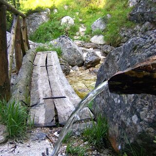 Holzsteg entlang des Weges