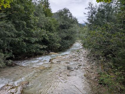 Fotografia z herr zwerg na trase