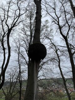 Foto de Max Müller 11 a lo largo del recorrido