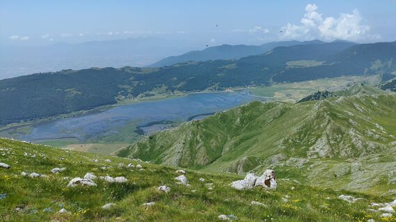 Fotografija s spletne strani Fox74x na poti