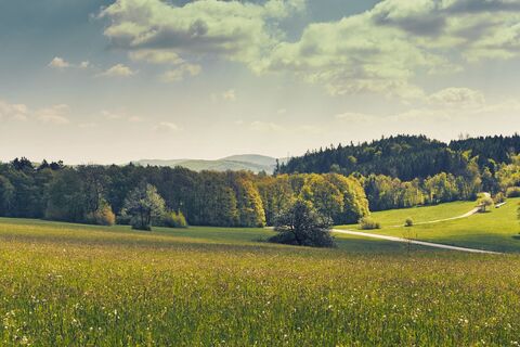 Panoramaweg Troppberg