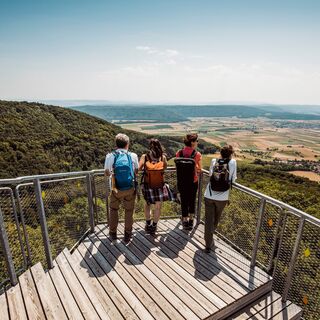 siblingen-wandern-randenturm-aussicht-sommer