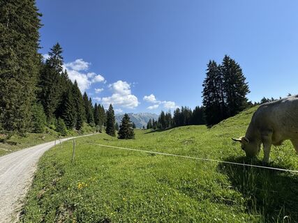 Foto von Rolf Litscher 1 entlang der Tour