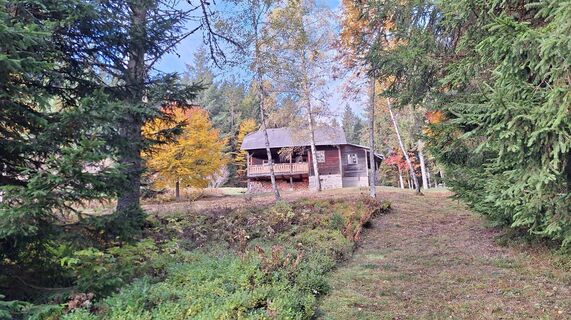 Fotografia z Karl Kriegseisen na trase