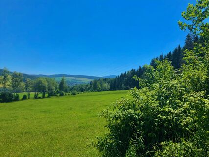 Blick vom Fuße des Scheibenbergs hinaus zum Fichtelberg