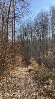 Foto de Christian Kakuska a lo largo del recorrido