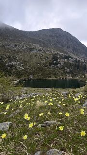 Fotografija s spletne strani Mirko Stefani na poti