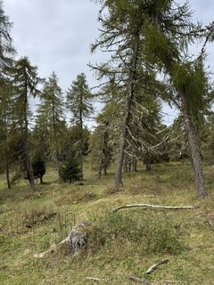 Fotografie de la Astrid Mros de-a lungul turului