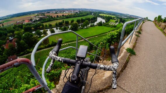 Gravel Genussroute Hessigheimer Felsengärten