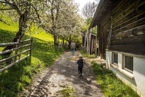 20250427_Sonnenrunde_3573.jpg