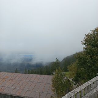 Foto de mosi mönä a lo largo del recorrido