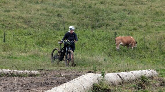 Fotografija s spletne strani Klaus Lehner na poti