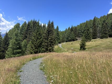 Fotografija s spletne strani Andreas na poti