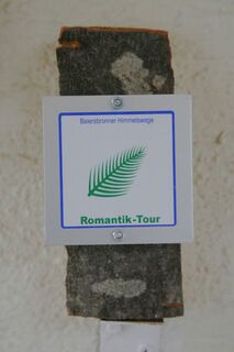 Zeichen der Romantik-Tour