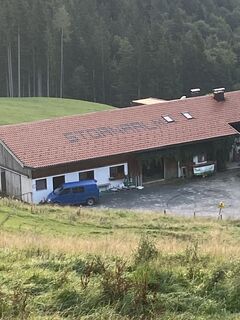 Fotografia z Sven Krieblin na trase