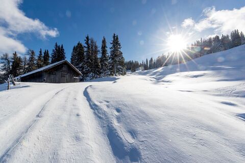 Landschaft Frauenalpe