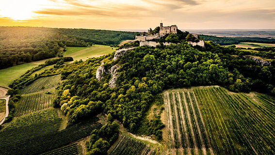 Burgruine Falkenstein