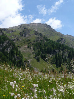 Weiße Spitze