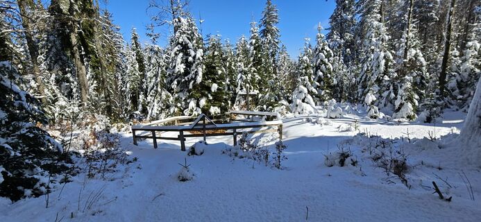 Fotografija s spletne strani Mateja Rečnik na poti