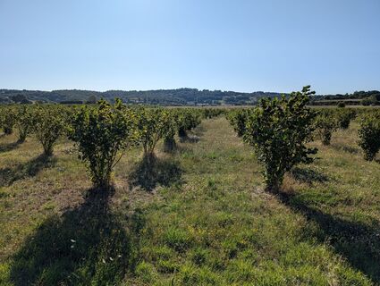 Fotografia z Herve Andeler na trase