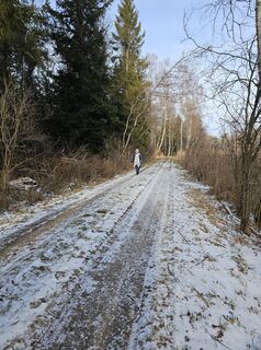 Photo de Bernd Niethammer le long du parcours