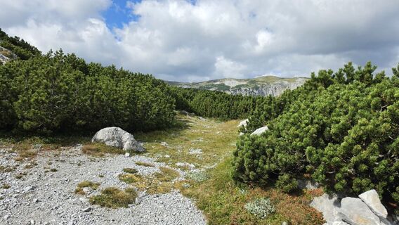 Foto von EP87 entlang der Tour