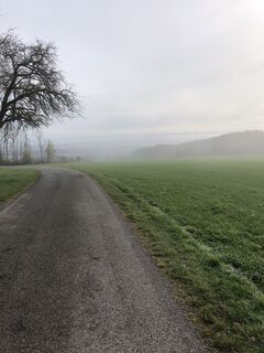 Foto von Heino B entlang der Tour