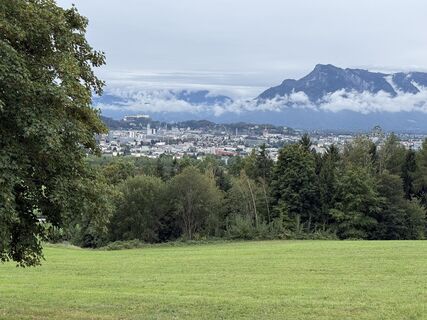 Foto von Helix entlang der Tour