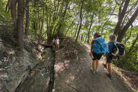 Suedtirol, Vinschgau, Waalweg, zwischen Juval und Tschars, Kastelbell, Vinschger Hoehenweg, Familie, Kinder, wandern, Wasser auf dem Weg
vom Schnalstal zu den Kulturen im Tal.