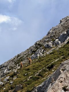 Foto von Dr. Rike Maurer entlang der Tour