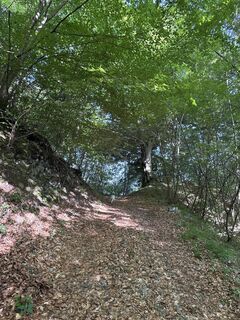 Fotografija s spletne strani Ursula na poti