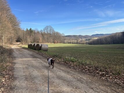 Foto von Car Wanderfreude entlang der Tour