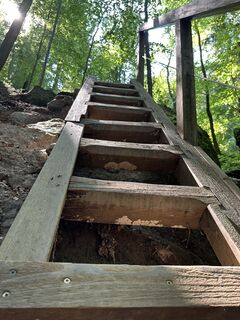 Photo de Susanne Ettl le long du parcours