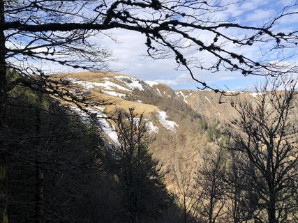 Photo de Jack ROMAN le long du parcours