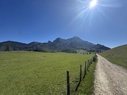 Fotografija s spletne strani Bedy na poti