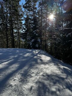 Foto von Heidi Riegler entlang der Tour