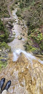 Photo de Zèé le long du parcours