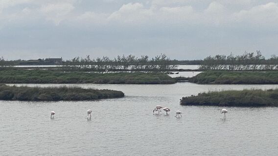 Foto von Claudia Planteu-Zöhrer entlang der Tour