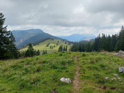 Fotografie z cornes na trase
