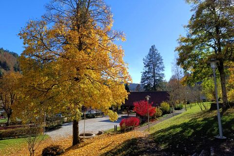 Herbststimmung in Todtmoos