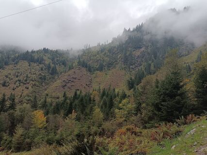 Photo de flexl-f le long du parcours