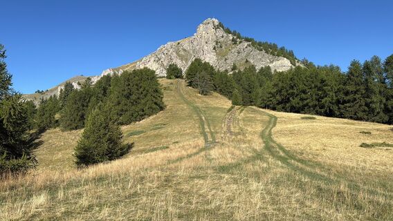 Foto von Leo Goehrs entlang der Tour